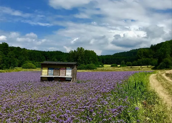 Huettendorf Fraenkische Schweiz * 포텐스타인
